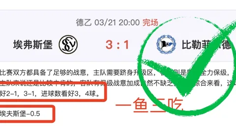 昨两战告捷下午场约文图特对阵格兰卡纳里亚专家解析